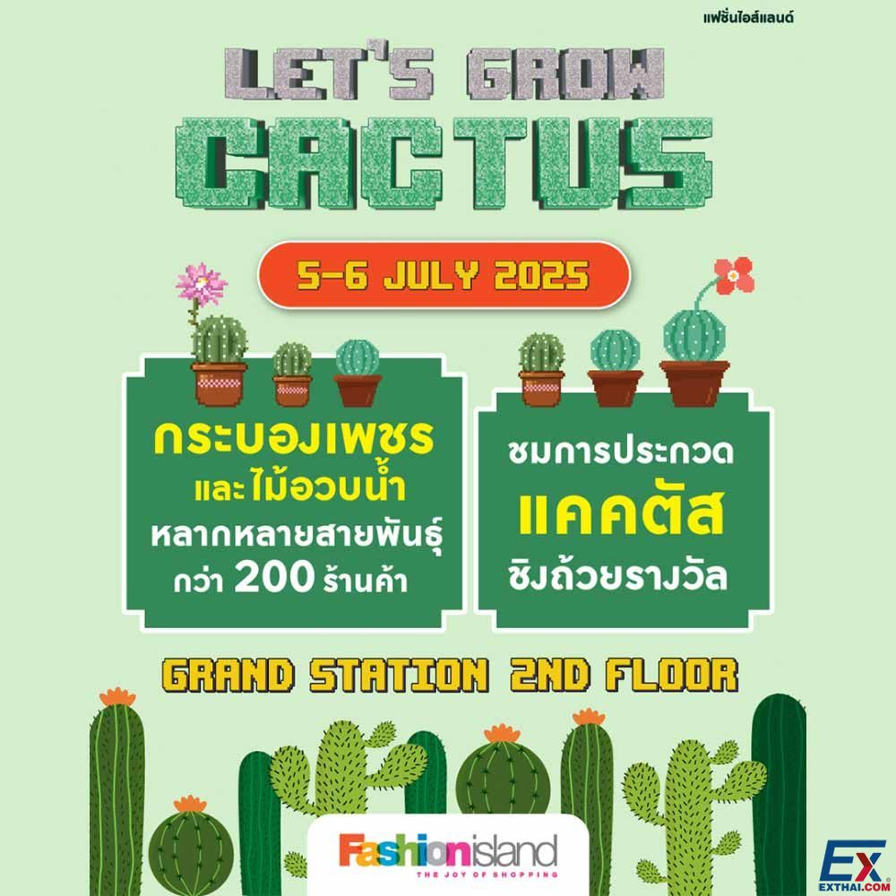 2025年7月5日-6日 Let grow cactus