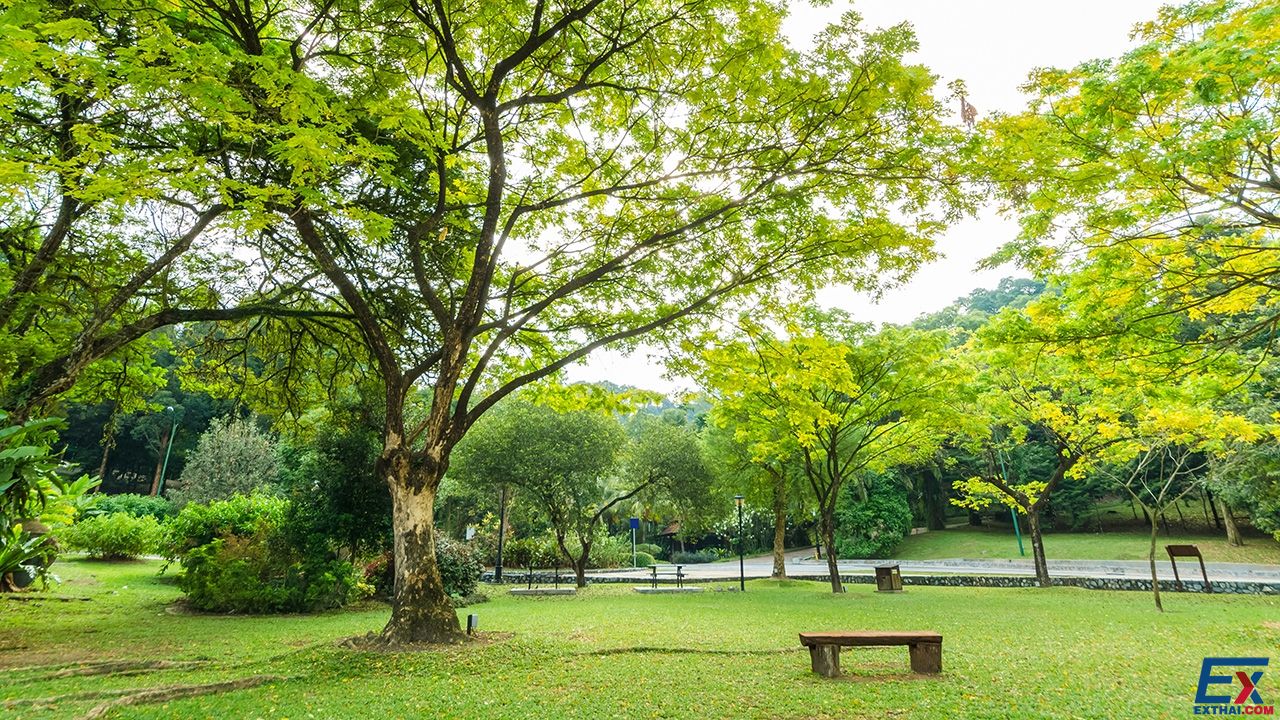 泰国10个美丽的公共公园，放松身心，欣赏美景 !
