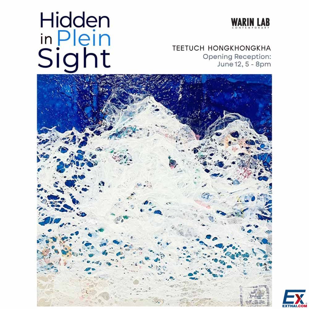 2025年6月5日-8月2日 Hidden in Plein Sight